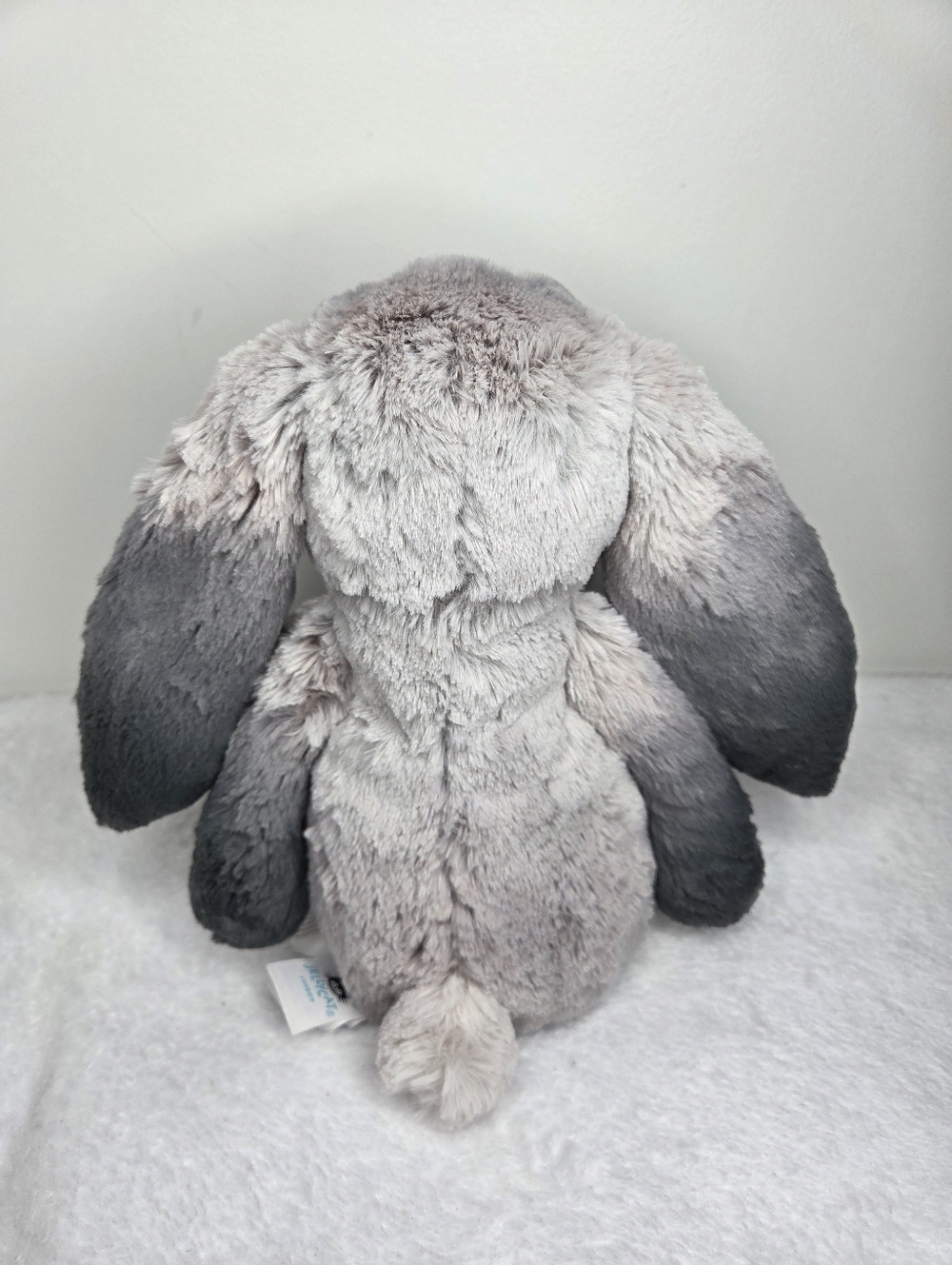 NWT Customized Jellycat Medium Bashful Bunny " Bradley" - Picture 6 of 7